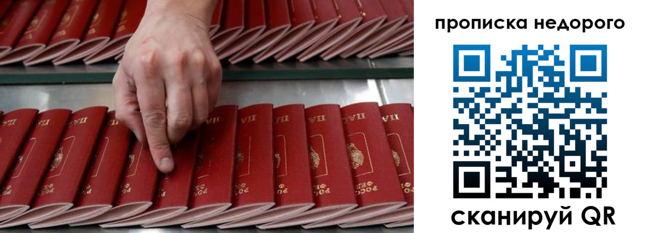 прописка регистрация в Козельске